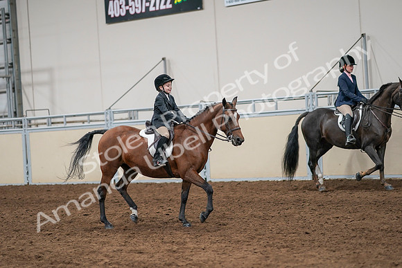 2020 - AB Morgan Horse - Sun, Sept 06 - 07999