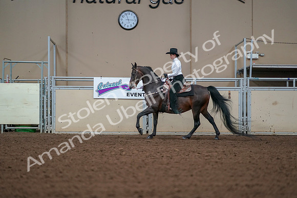 2019 Morgan Horse Show - Aug 30, 2019 - 16840
