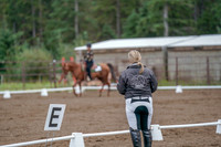2019 Morgan Horse Show - Aug 30, 2019 - 00221