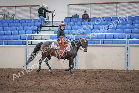 2020 - AB Morgan Horse - Sun, Sept 06 - 01652