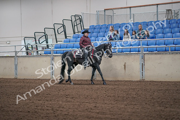 2019 Morgan Horse Show - Aug 31, 2019 - 10666