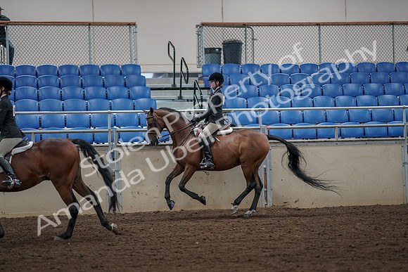 2019 Morgan Horse Show - Aug 31, 2019 - 05109
