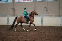 2019 Morgan Horse Show - Aug 30, 2019 - 30645