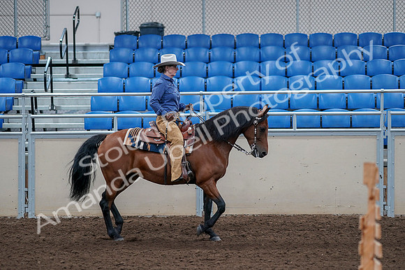 2020 - AB Morgan Horse - Fri, Sept 04 - 00206