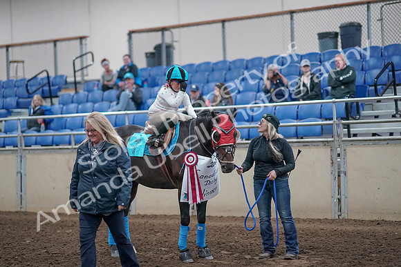 2019 Morgan Horse Show - Aug 31, 2019 - 10215