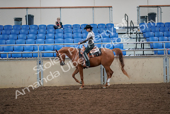 2019 Morgan Horse Show - Aug 30, 2019 - 16855