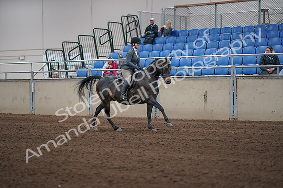 2019 Morgan Horse Show - Sept 01, 2019 - 11088