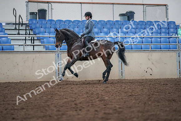 2019 Morgan Horse Show - Aug 30, 2019 - 18464