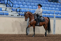 2020 - AB Morgan Horse - Fri, Sept 04 - 05702