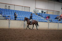 2019 Morgan Horse Show - Aug 30, 2019 - 12664