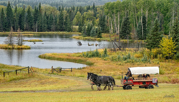 Foothills Ride for Stars - Sept 22, 2018 - 01329