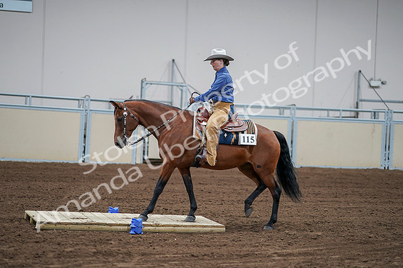 2020 - AB Morgan Horse - Fri, Sept 04 - 00168
