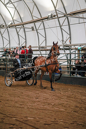 July 19, 2019 - 6913