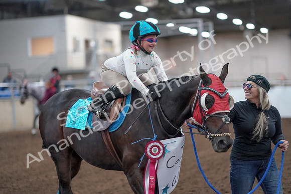 2019 Morgan Horse Show - Aug 31, 2019 - 09983