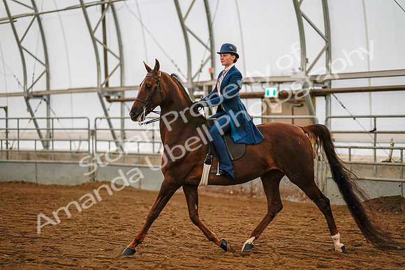 July 19, 2019 - 8831