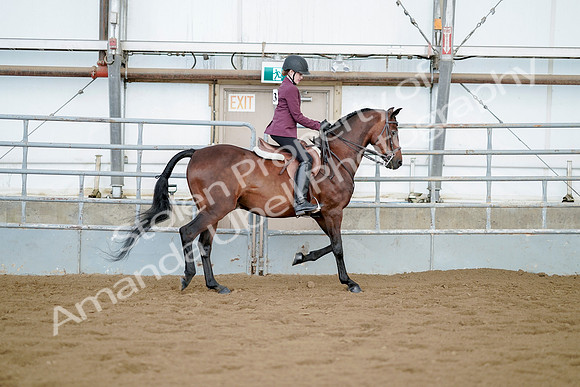 July 21, 2019 - 03395