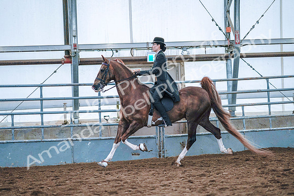 July 20, 2019 - 23847