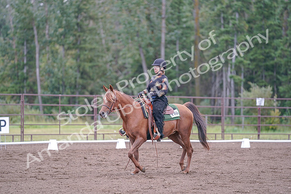 2019 Morgan Horse Show - Aug 30, 2019 - 00228