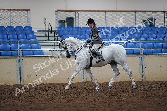 2019 Morgan Horse Show - Aug 30, 2019 - 17367
