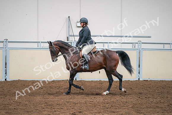 2020 - AB Morgan Horse - Sat, Sept 05 - 09339