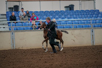 2019 Morgan Horse Show - Aug 30, 2019 - 24656