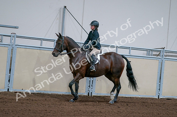 2020 - AB Morgan Horse - Fri, Sept 04 - 01660