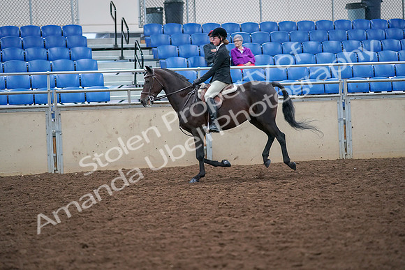2019 Morgan Horse Show - Aug 30, 2019 - 20538