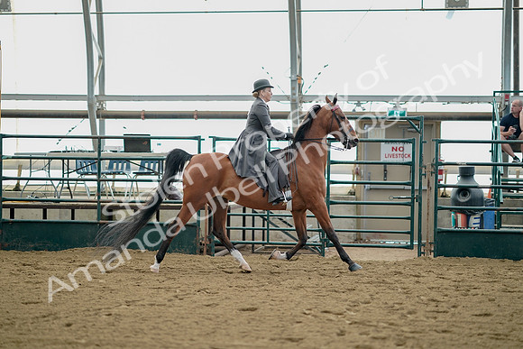July 21, 2019 - 01829