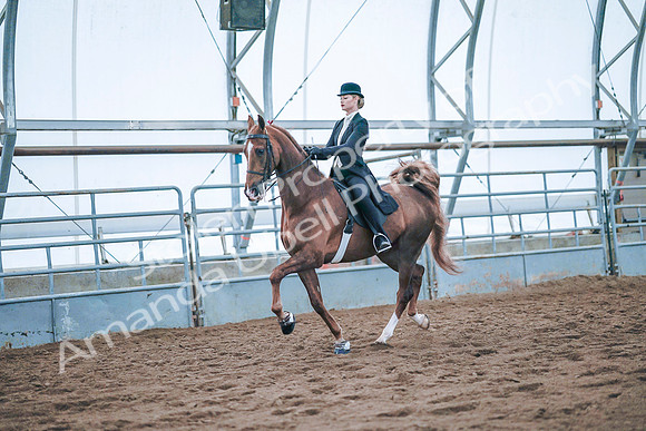 July 20, 2019 - 24101