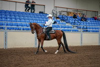 2020 - AB Morgan Horse - Fri, Sept 04 - 03478