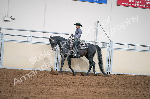 2020 - AB Morgan Horse - Fri, Sept 04 - 08393