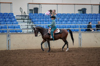 2019 Morgan Horse Show - Aug 30, 2019 - 16714