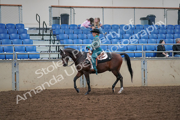 2019 Morgan Horse Show - Aug 30, 2019 - 16714