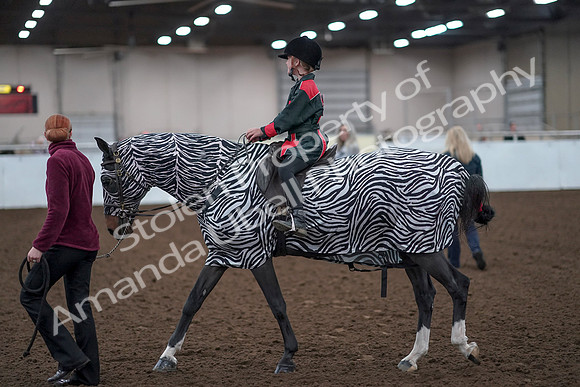 2019 Morgan Horse Show - Aug 31, 2019 - 10060