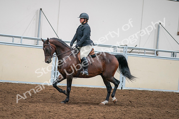 2020 - AB Morgan Horse - Sat, Sept 05 - 09330