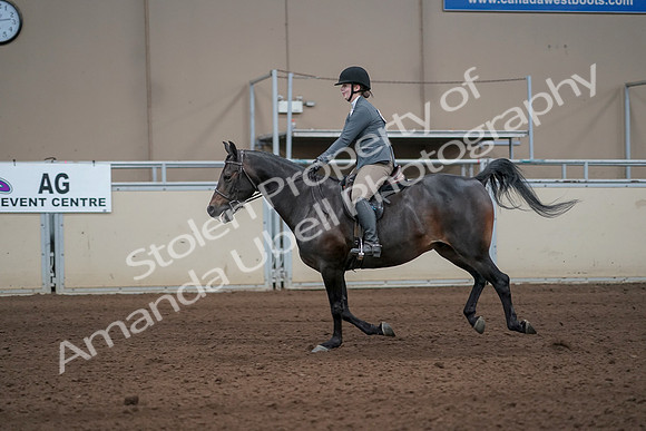 2019 Morgan Horse Show - Sept 01, 2019 - 10988_1