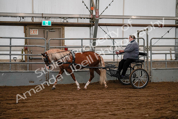 July 19, 2019 - 7064
