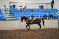 2019 Morgan Horse Show - Aug 30, 2019 - 16704