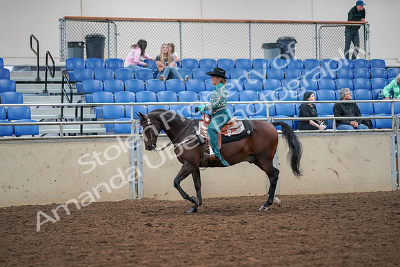 2019 Morgan Horse Show - Aug 30, 2019 - 16704