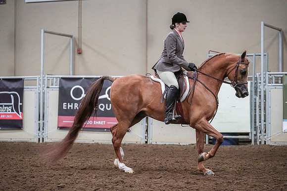 Spring Fling - Saturday - April 20, 2019  -  04646