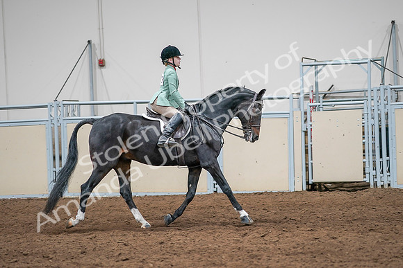 2020 - AB Morgan Horse - Sun, Sept 06 - 08063