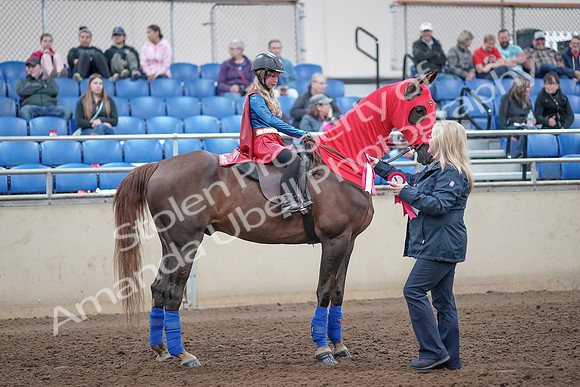 2019 Morgan Horse Show - Aug 31, 2019 - 10183