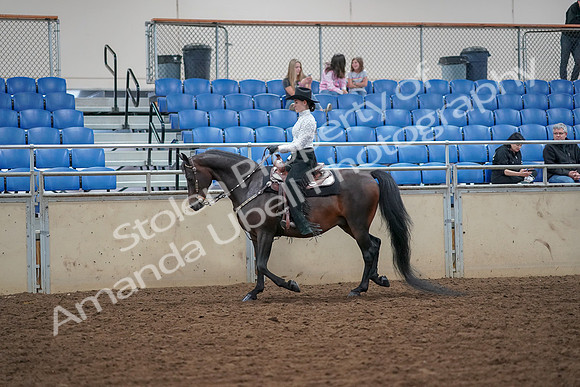 2019 Morgan Horse Show - Aug 30, 2019 - 16773