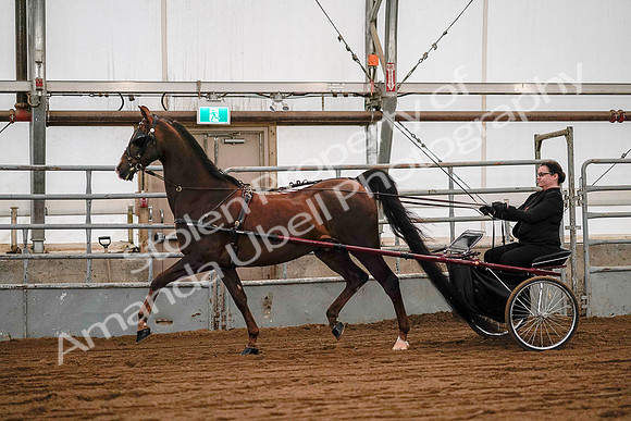 July 19, 2019 - 7040