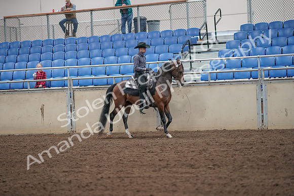 2019 Morgan Horse Show - Aug 31, 2019 - 06220