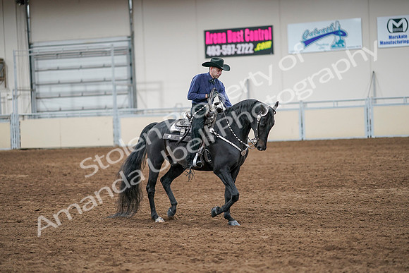 2020 - AB Morgan Horse - Sun, Sept 06 - 07626