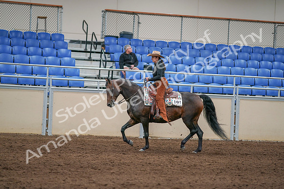 2020 - AB Morgan Horse - Sun, Sept 06 - 01608