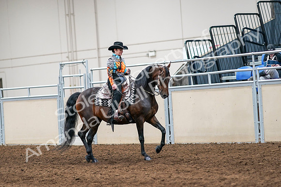 2020 - AB Morgan Horse - Sun, Sept 06 - 07559