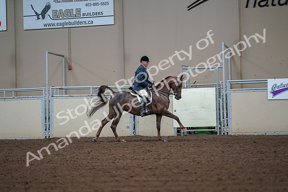 2019 Morgan Horse Show - Aug 30, 2019 - 17583