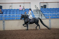 2019 Morgan Horse Show - Aug 31, 2019 - 09244
